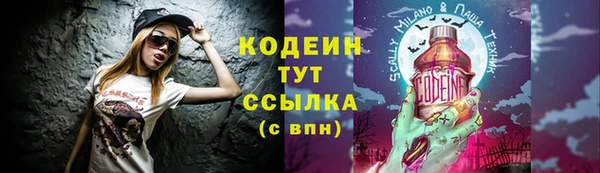 прущая мука Инсар