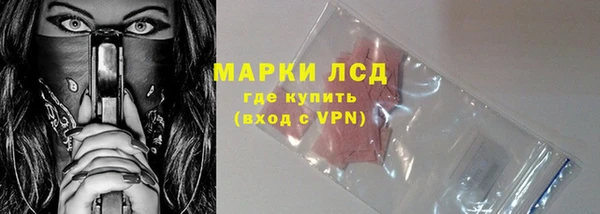 дурь Инта