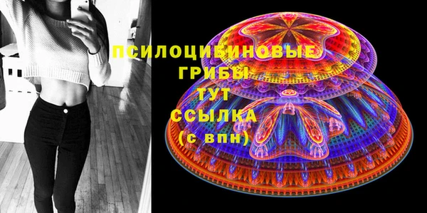 дурь Инта