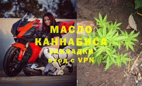 дурь Инта