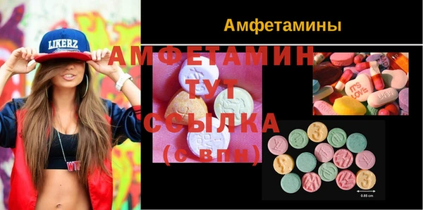 прущая мука Инсар