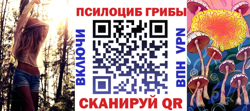 hydra рабочий сайт  Михайловск  Псилоцибиновые грибы Psilocybine cubensis 