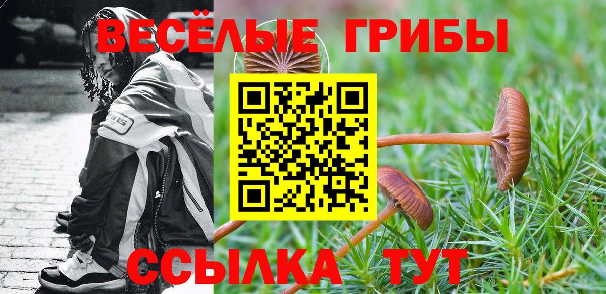 Псилоцибиновые грибы GOLDEN TEACHER Михайловск