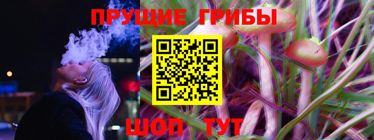 где купить наркоту  Псилоцибиновые грибы Psilocybe  Вход с VPN  Михайловск 